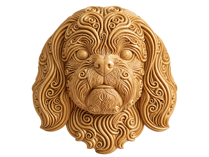 Shih Tzu II