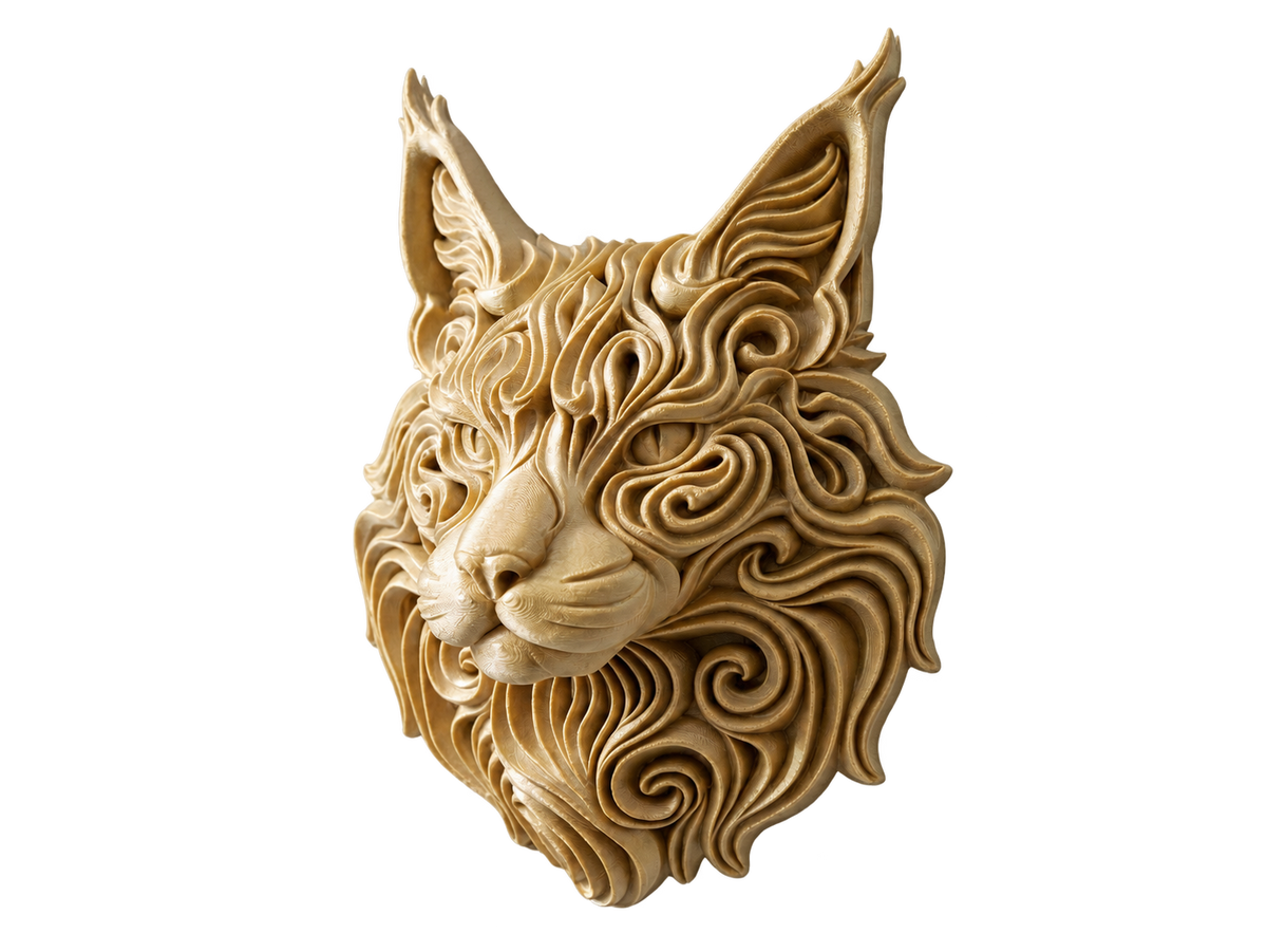 Maine Coon