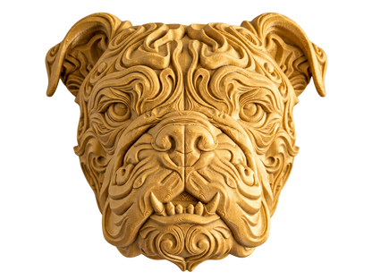 Englische Bulldogge