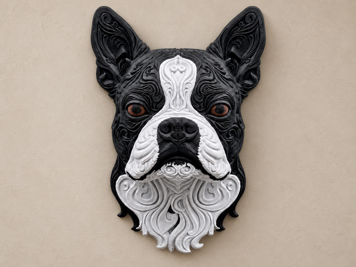 Boston Terrier