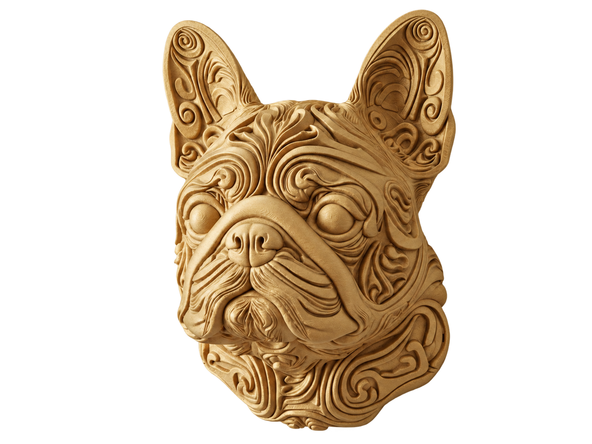 Französische Bulldogge