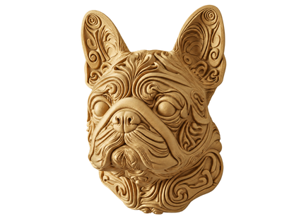 Französische Bulldogge