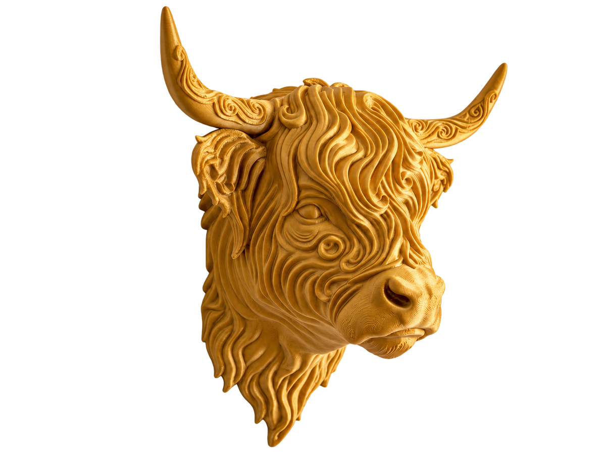 Hochlandrind