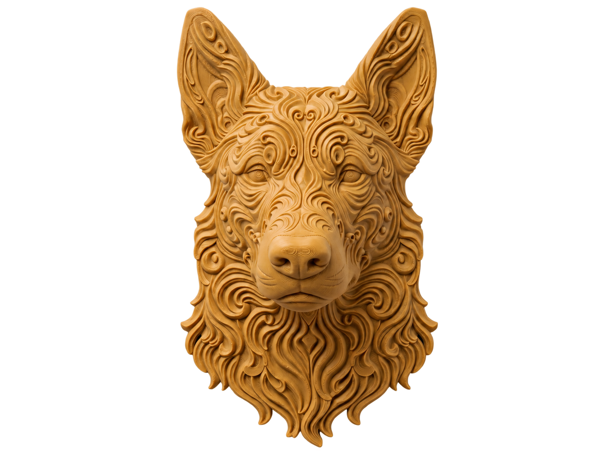 Malinois