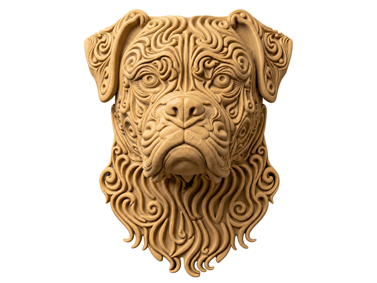 Boxer
