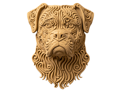 Boxer