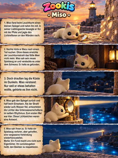 Miso Katze