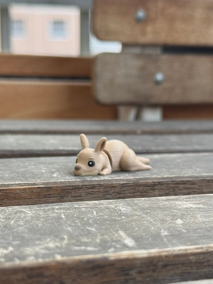 Kip Känguru