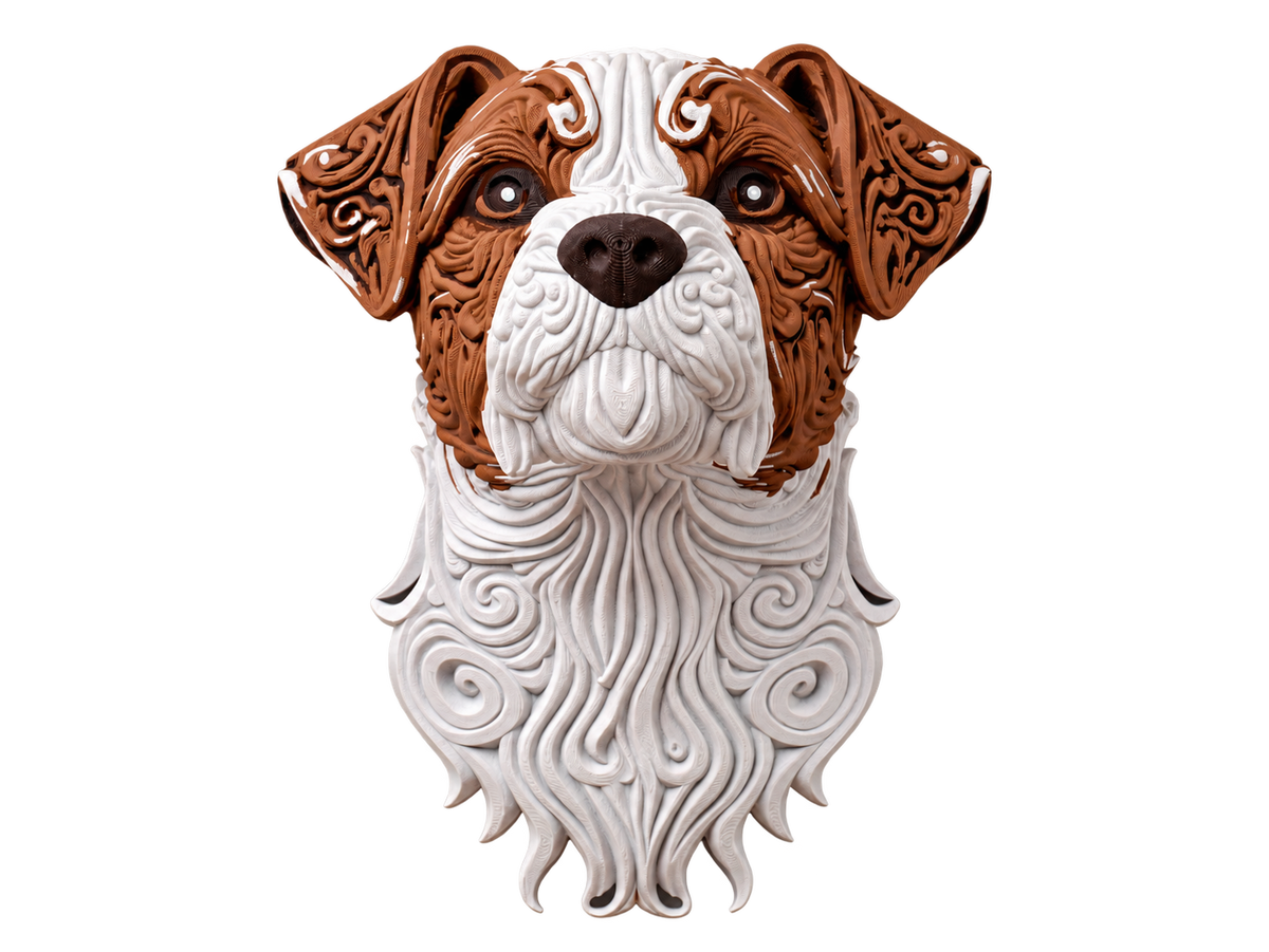 Jack Russell Terrier