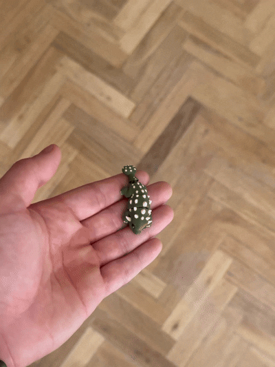 Roko Ankylosaurus