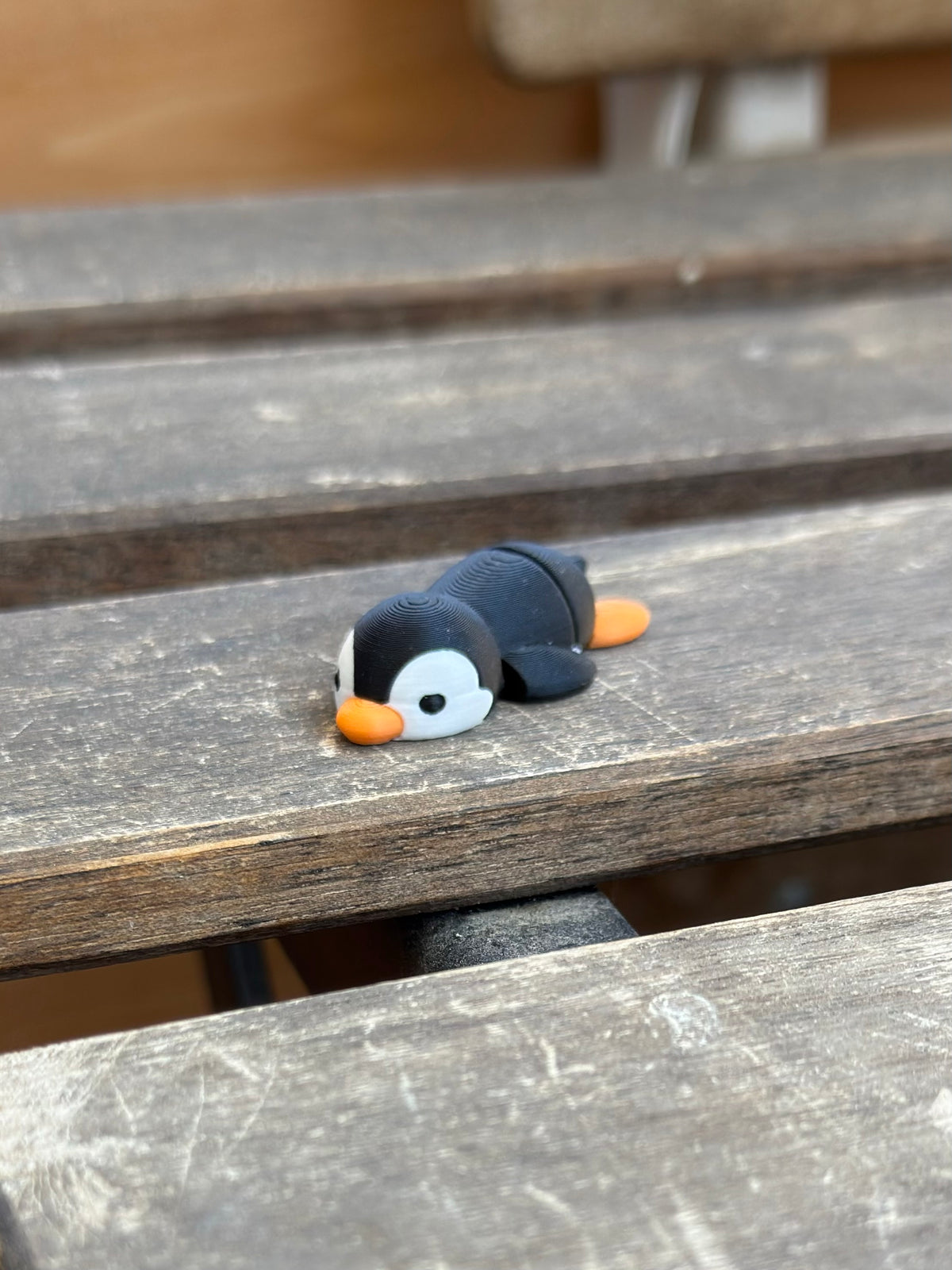 Cangüi Pinguin