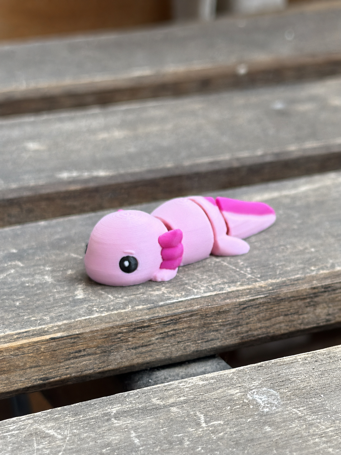 Axen Axolotl