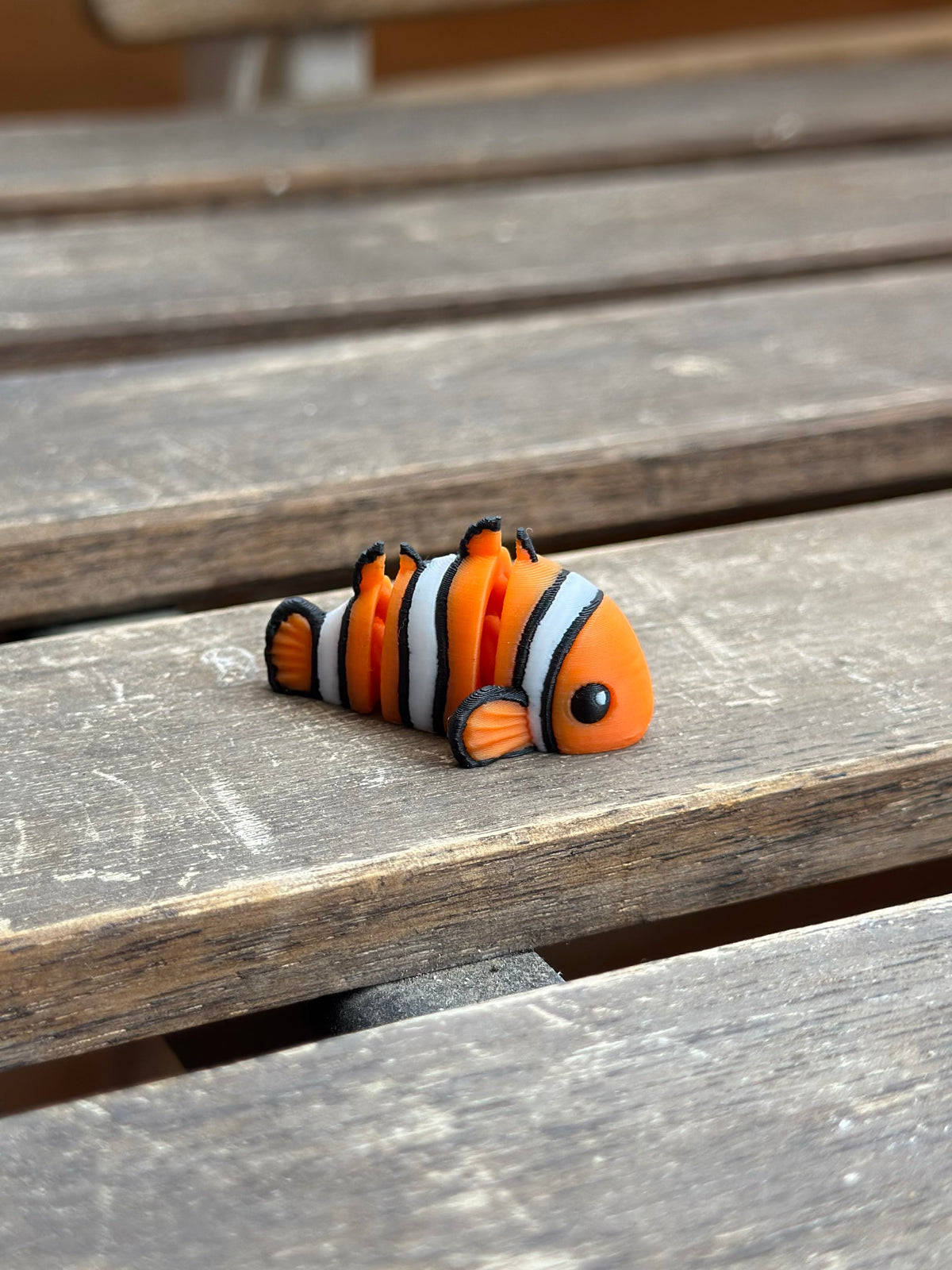 Rayo Clownfisch