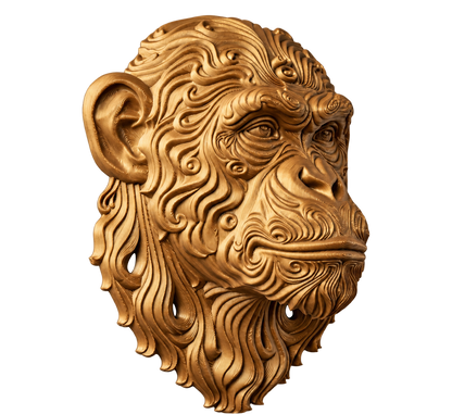 Chimpanse