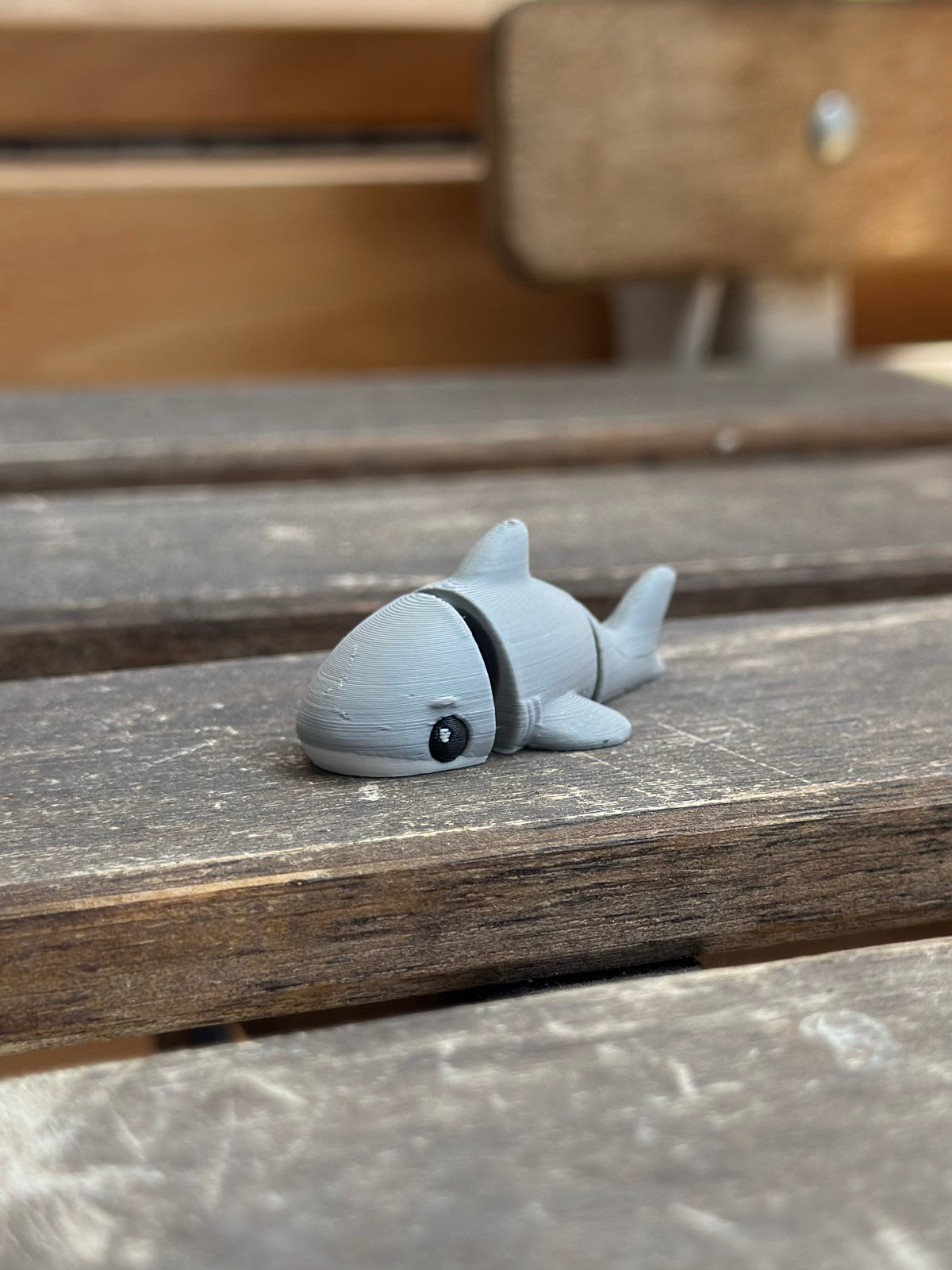 Finn Hai