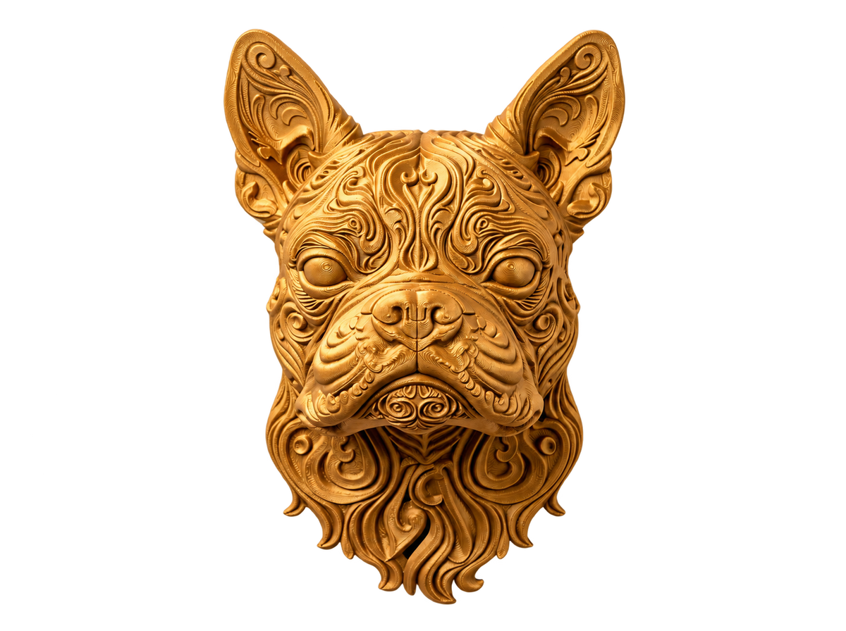 Boston Terrier
