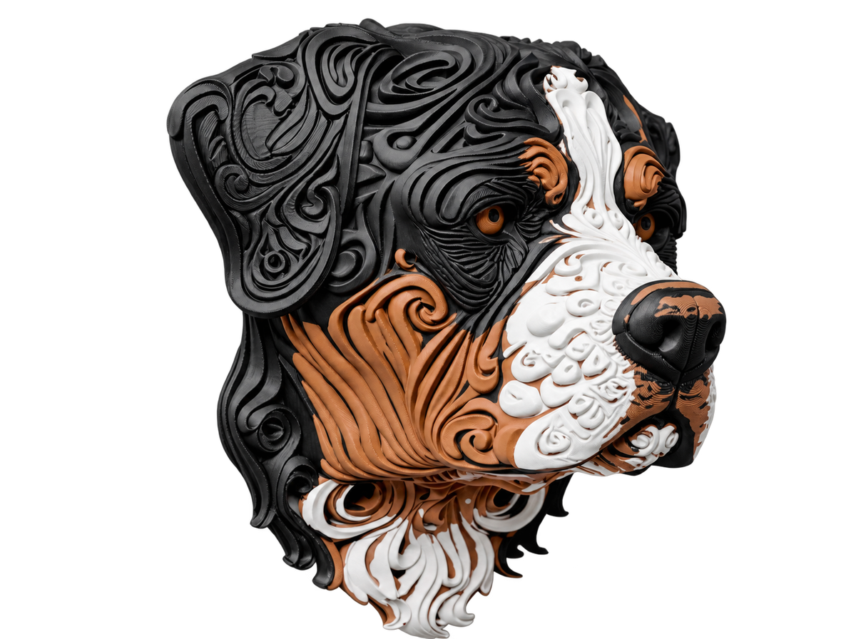 Schweizer Sennenhund