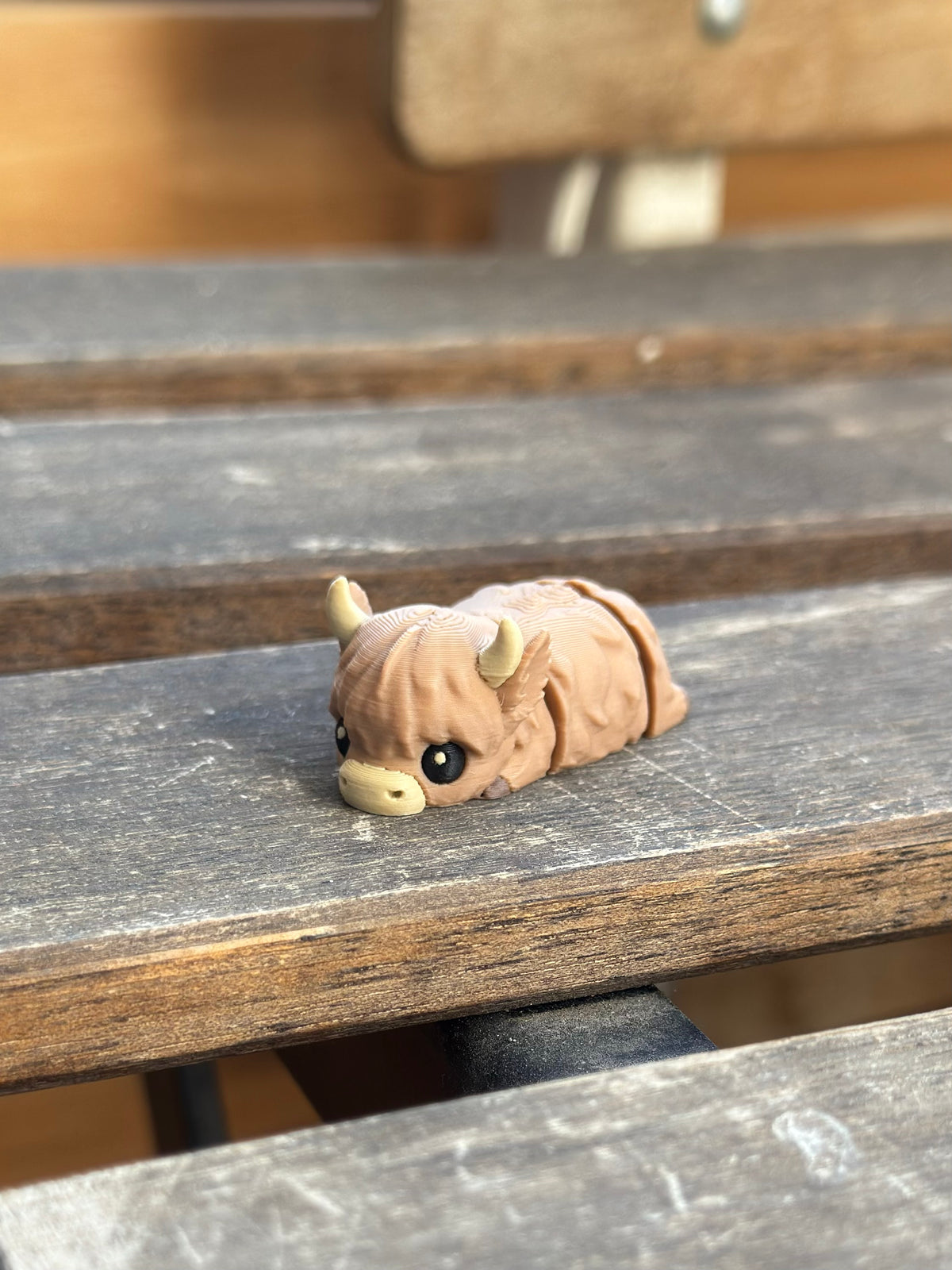 Tufty Hochlandrind