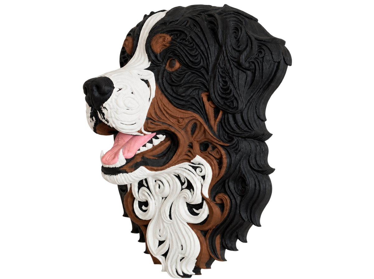 Berner Sennenhund V2