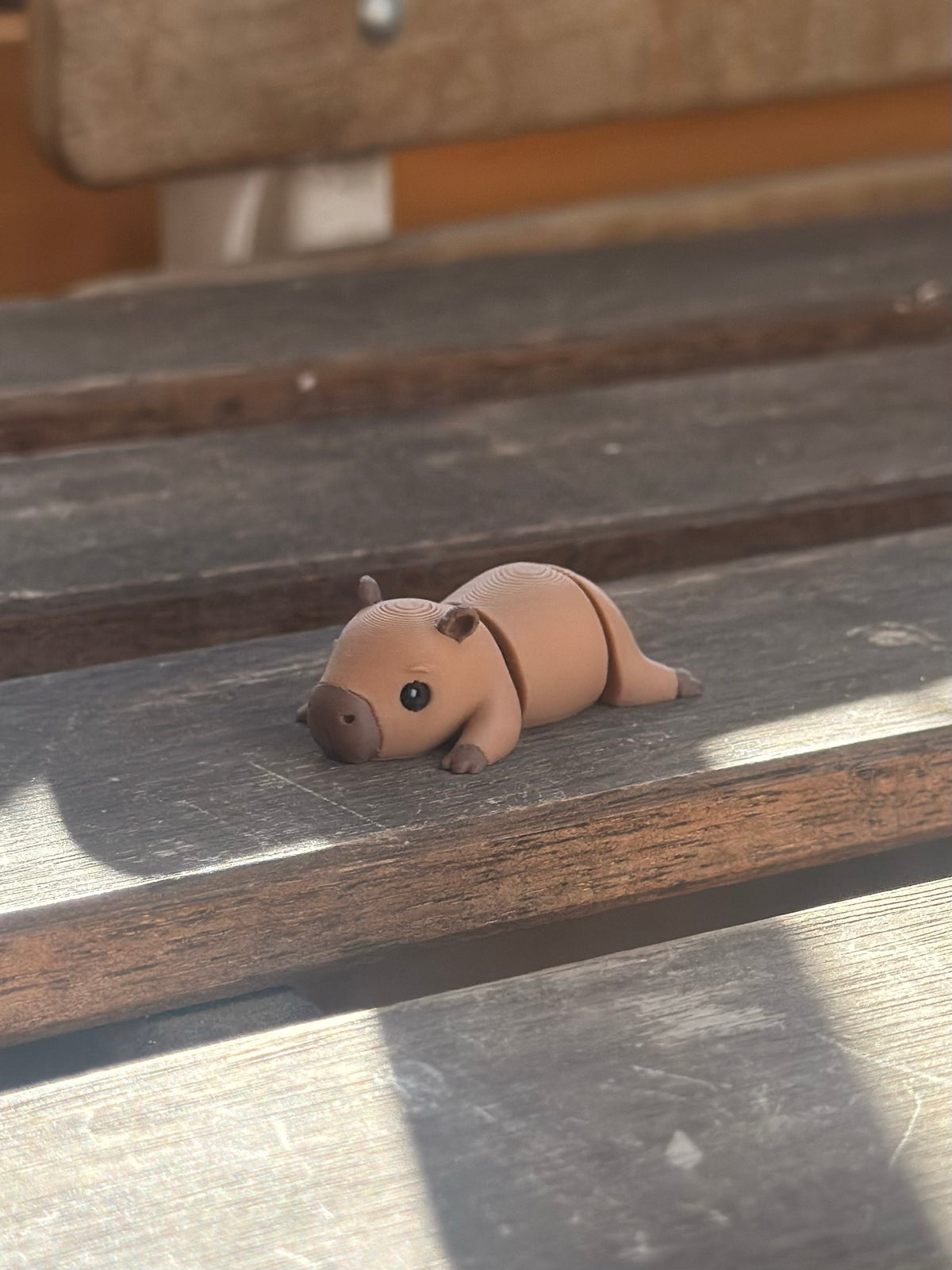 Capper Capybara