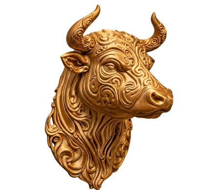 Stier