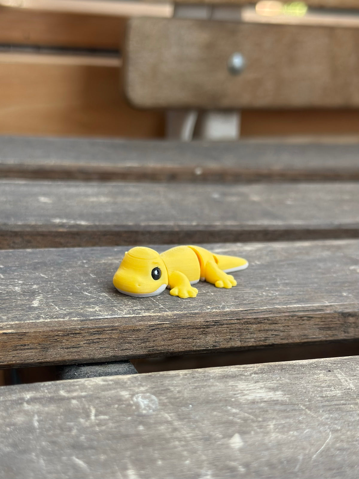 Zeko Gecko