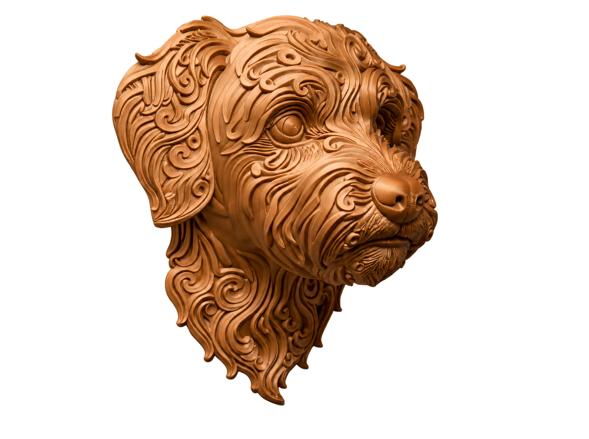 Bolonka
