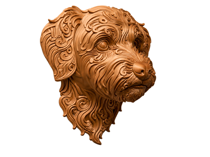 Bolonka