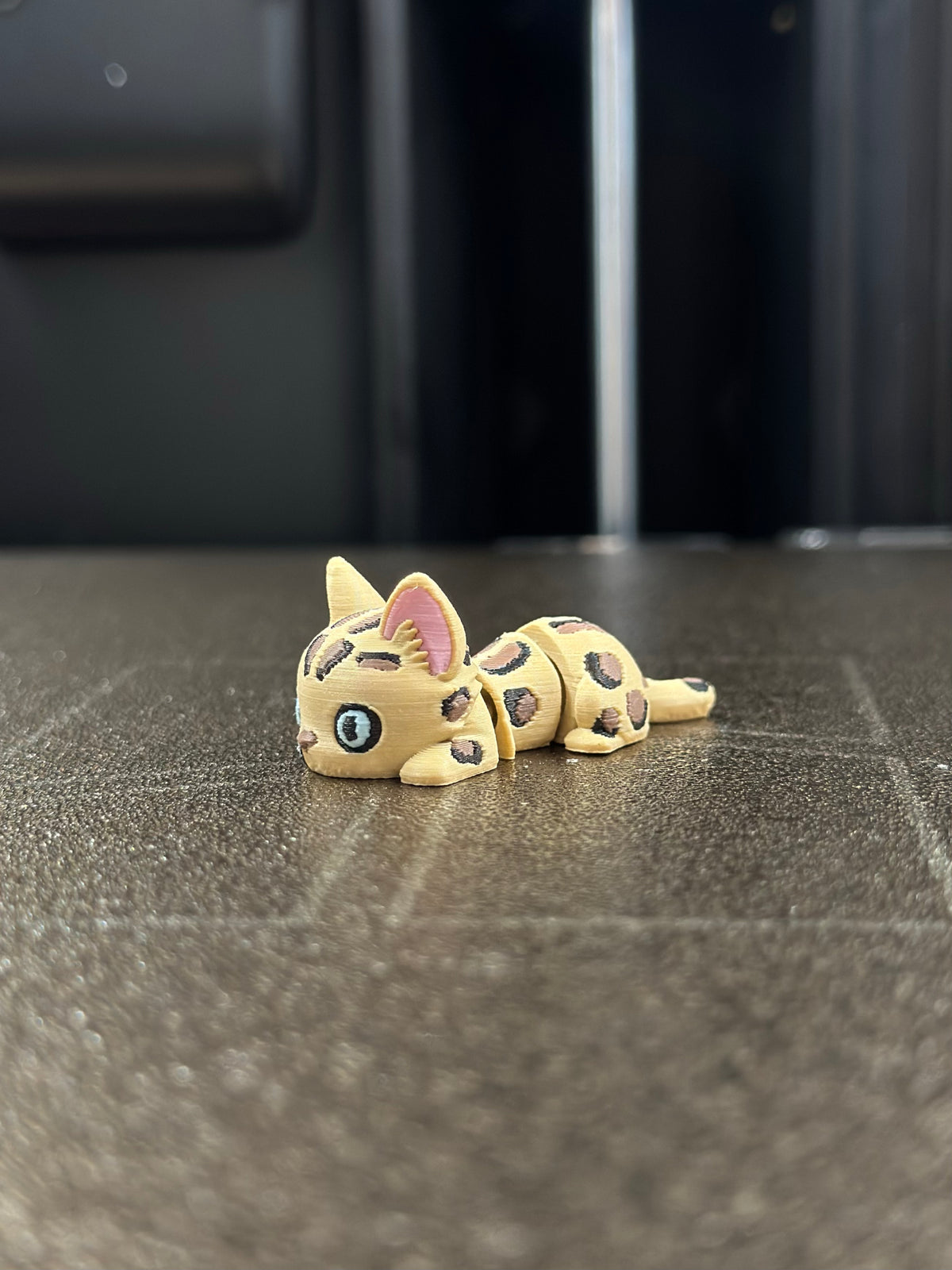 Gaar Bengalkatze