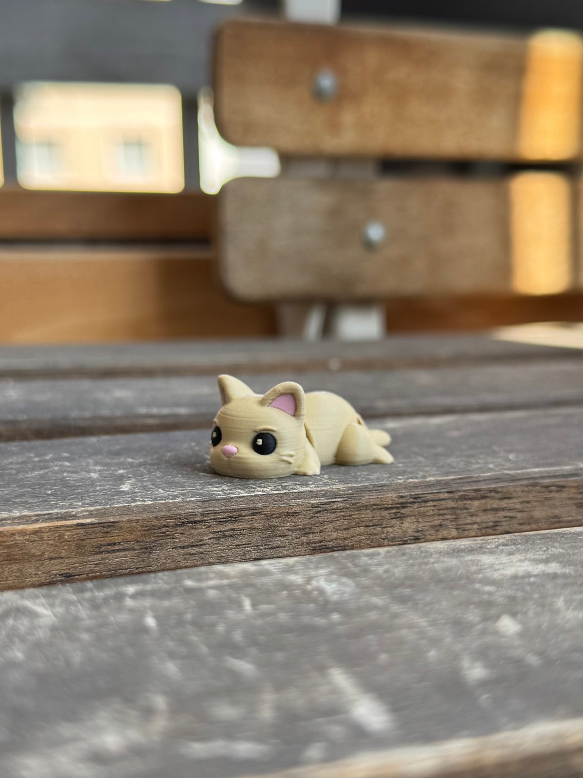 Miso Katze