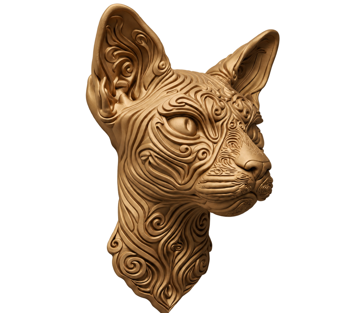 Sphynx-Katze