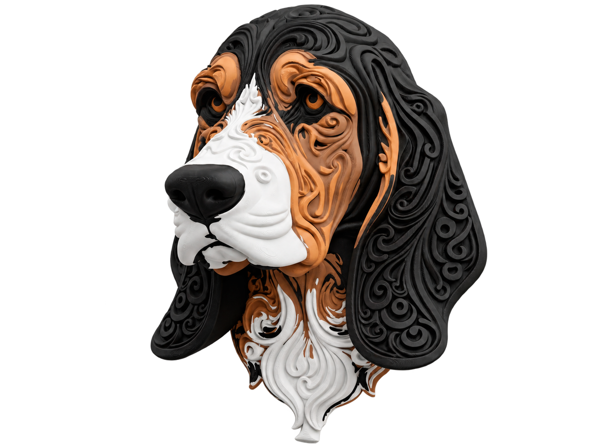 Basset Hound