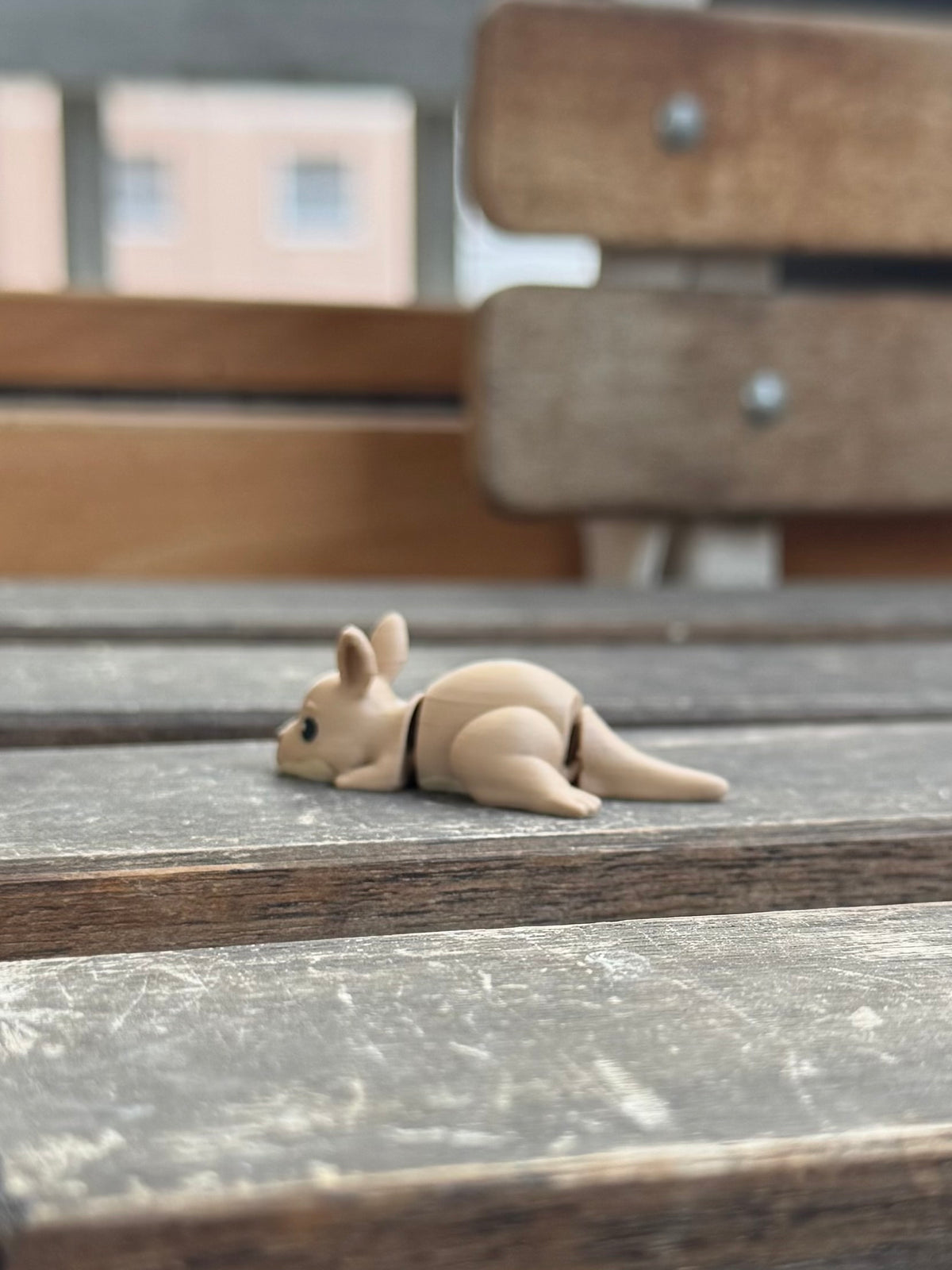 Kip Känguru