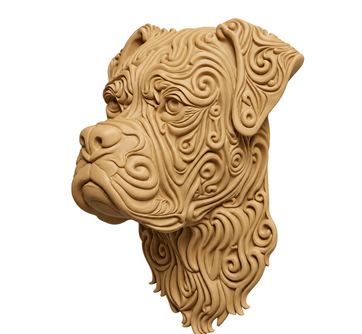 Boxer