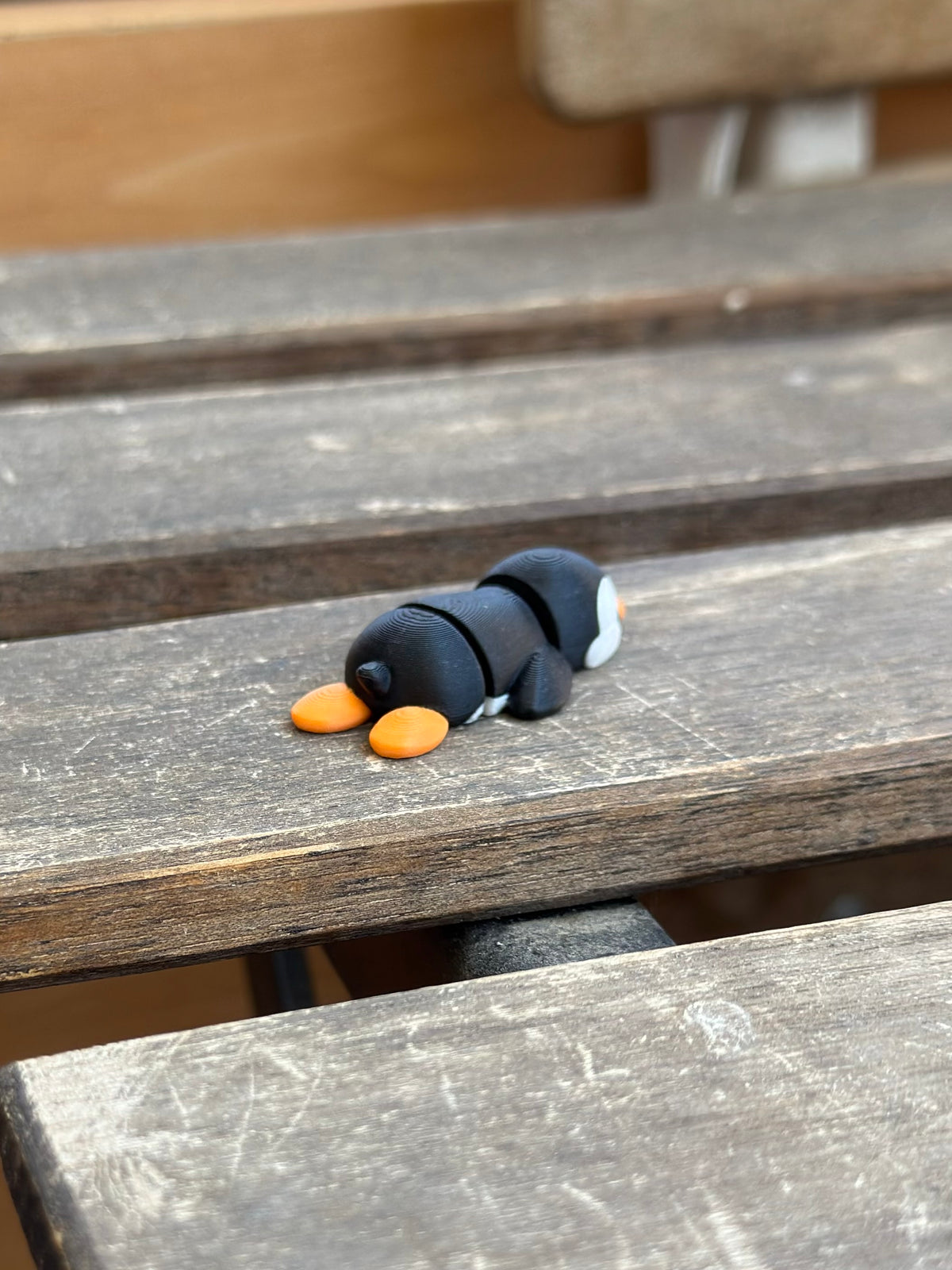 Cangüi Pinguin