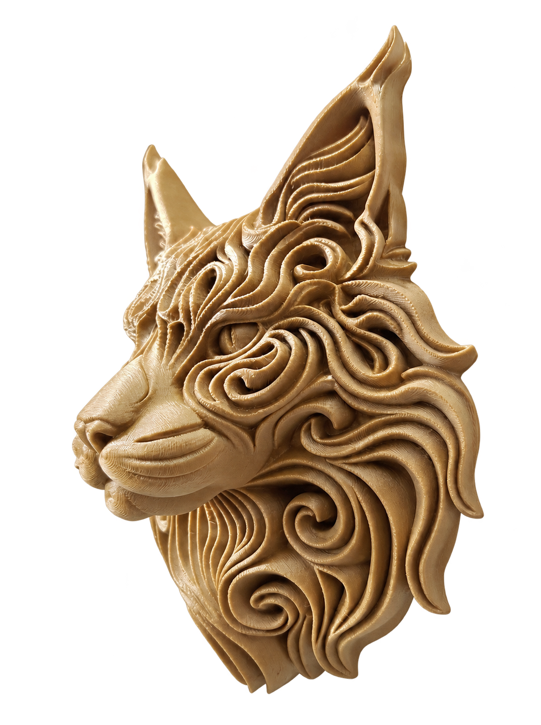 Maine Coon