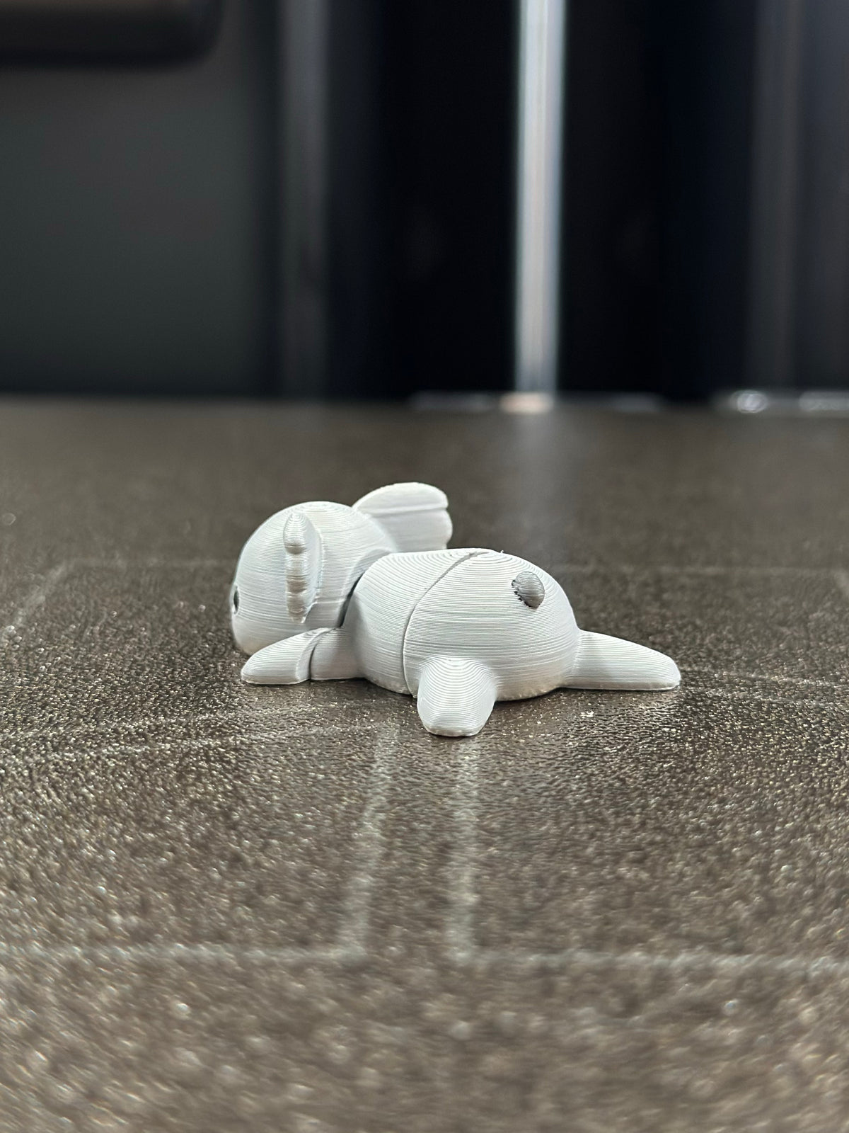 Lumpur Koala