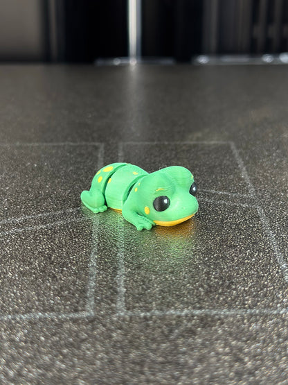 Yampi Frosch