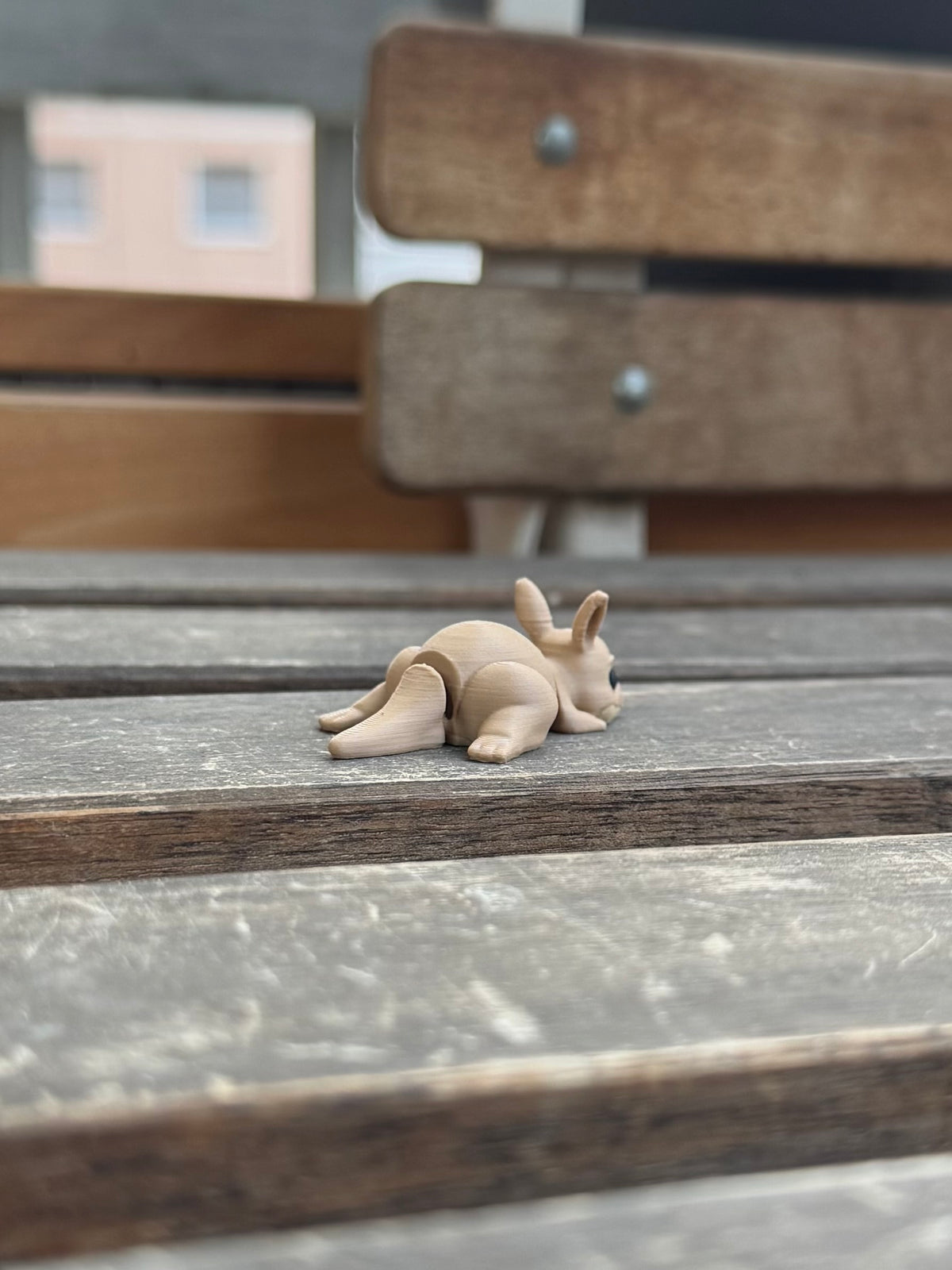 Kip Känguru