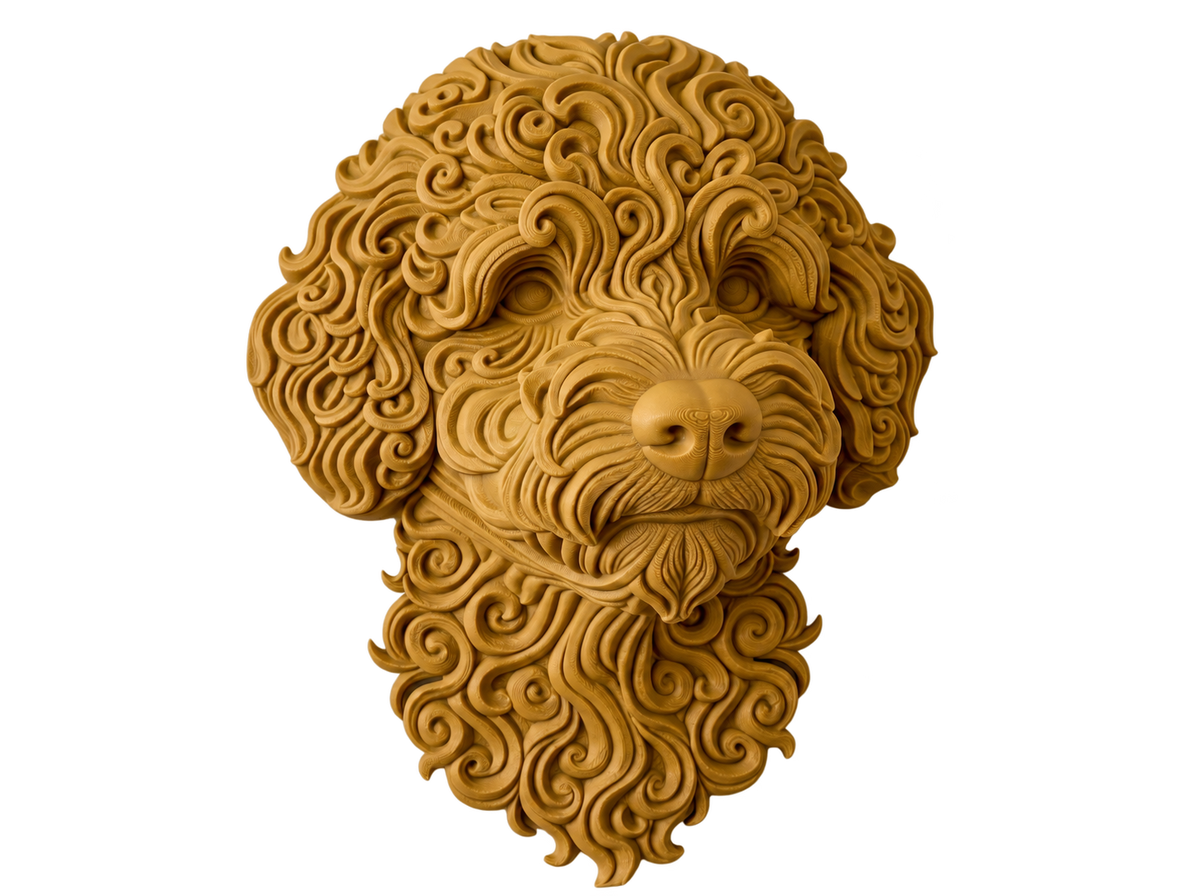 Maltipoo