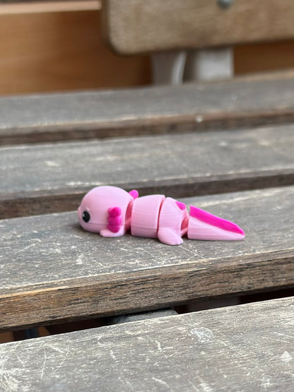 Axen Axolotl