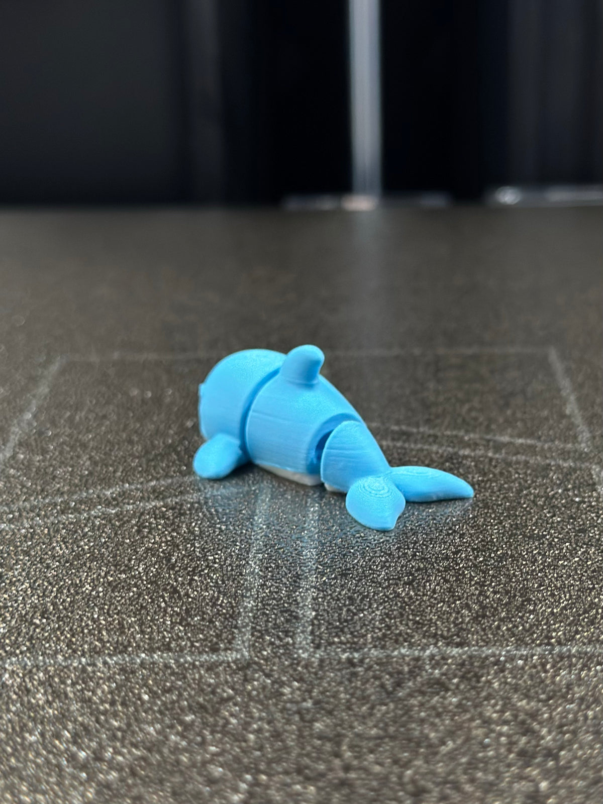 Swik Delfin