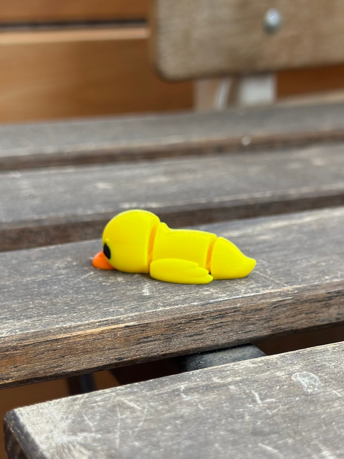 Dabble Ente