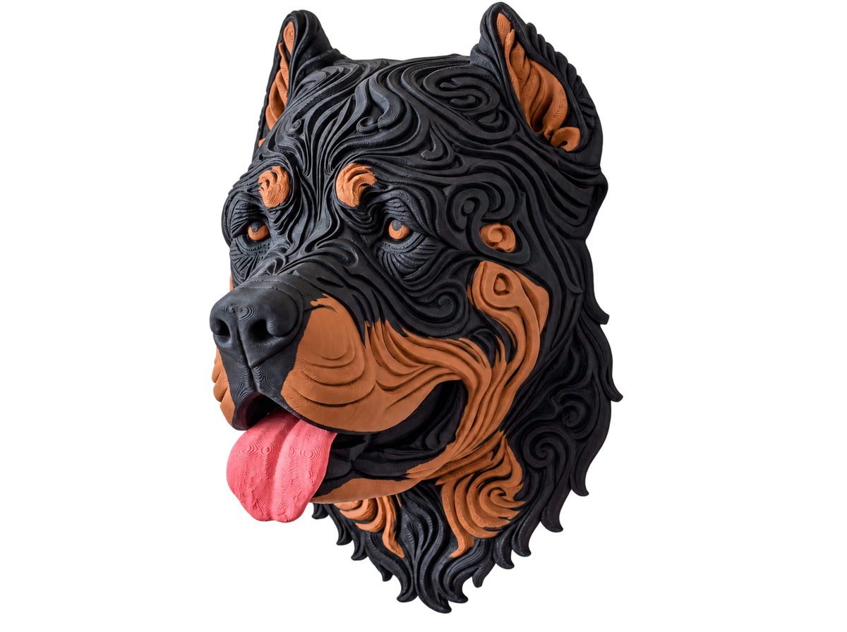 Cane Corso