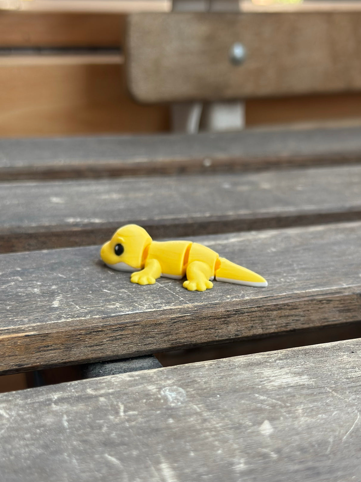 Zeko Gecko