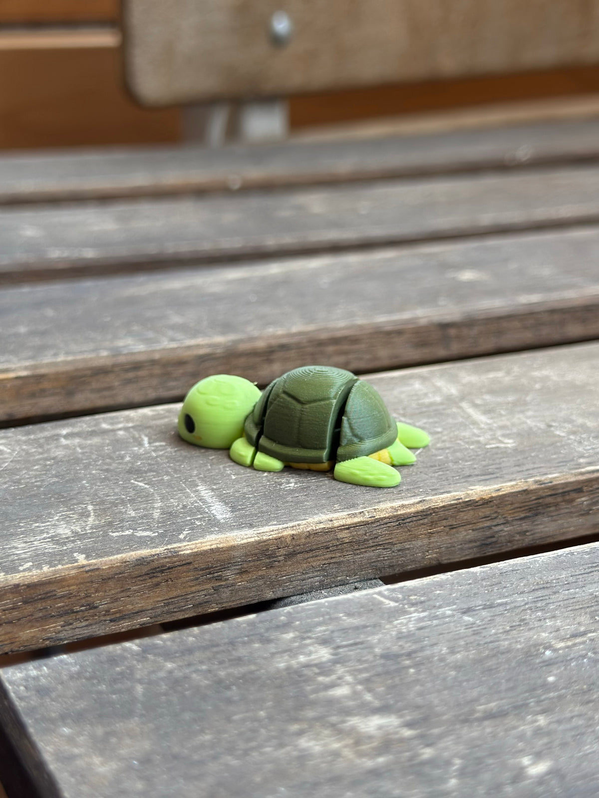 Lou Schildkröte