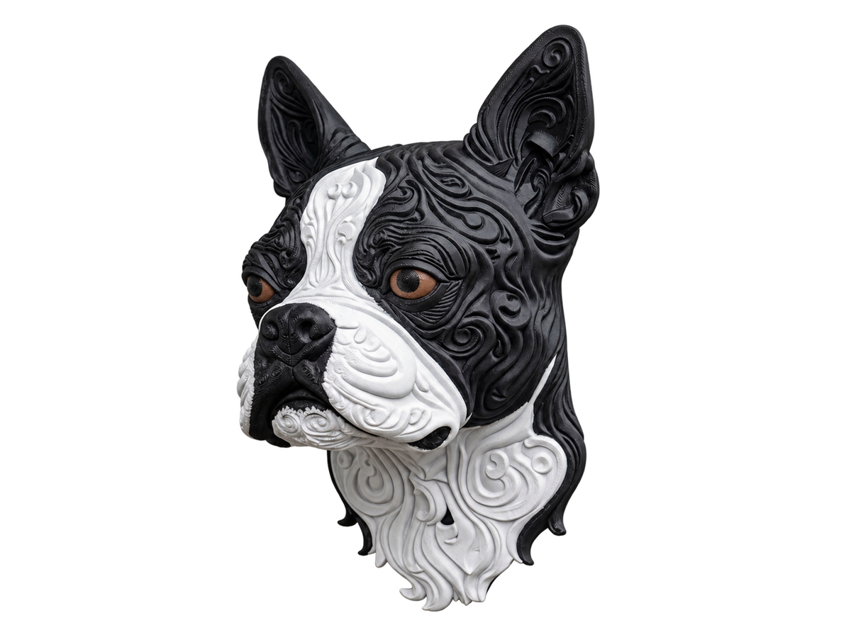 Boston Terrier