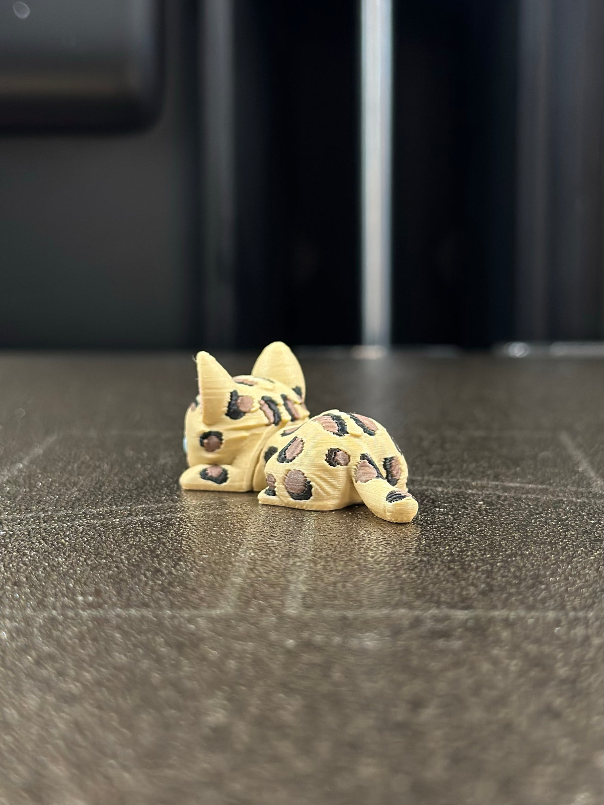 Gaar Bengalkatze