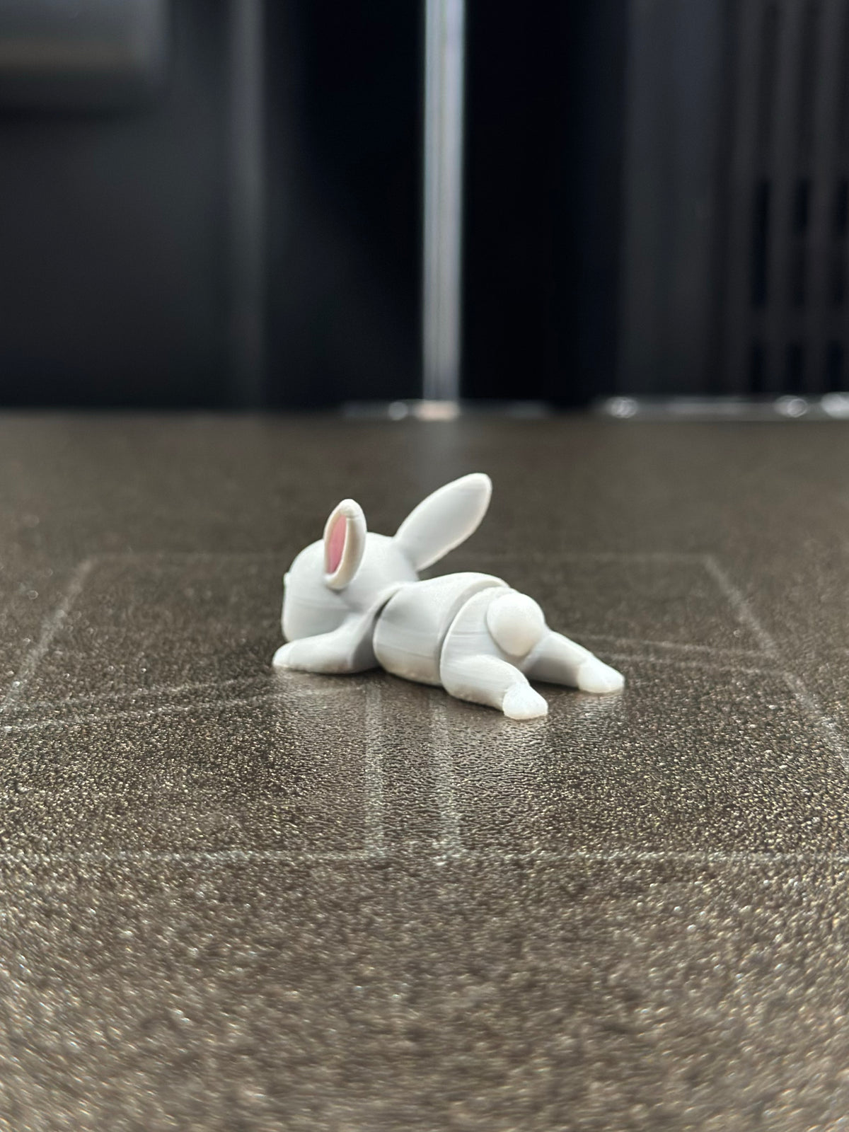 Pompon Hase