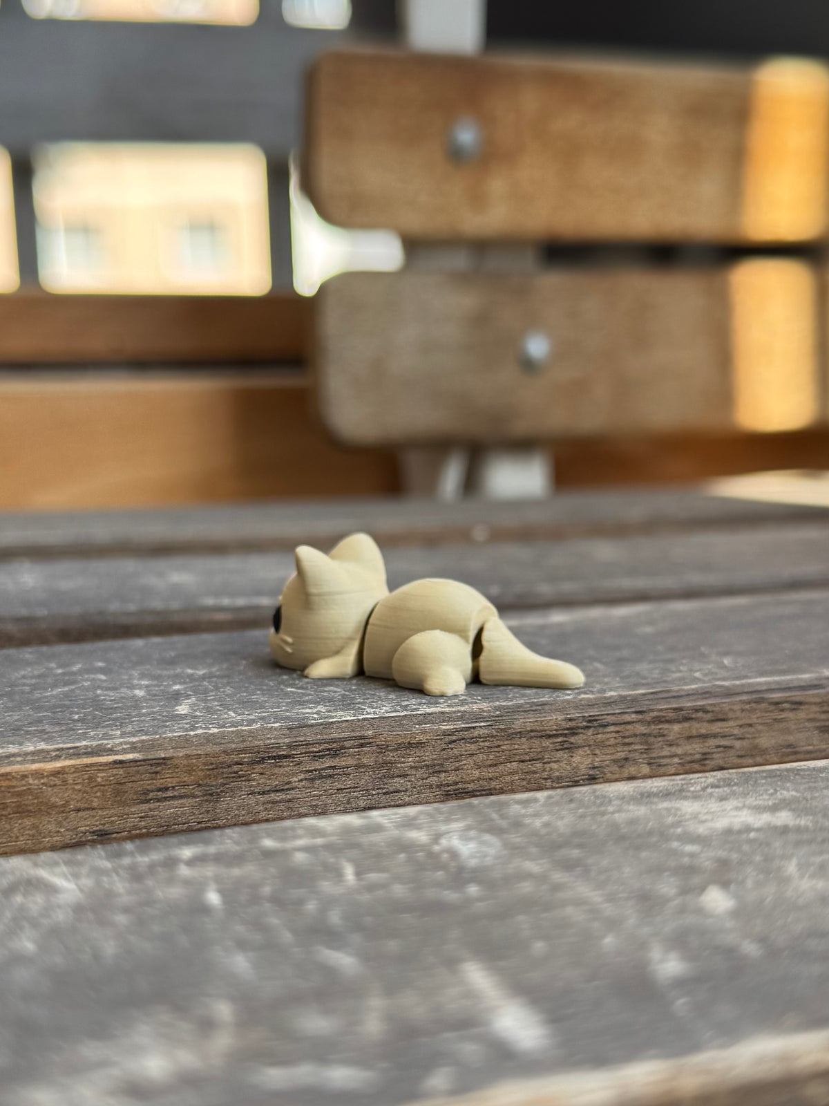 Miso Katze